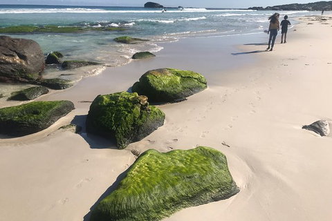 Cape To Cape Track Hike And Winery Tour - Holiday Sunshine Coast 7