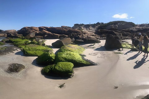 Cape To Cape Track Hike And Winery Tour - Holiday Sunshine Coast 11