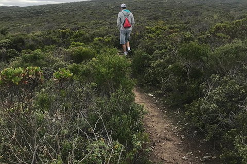 Cape To Cape Track Hike And Winery Tour - Holiday Sunshine Coast 10