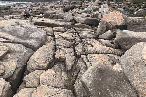 Cape To Cape Track Hike And Winery Tour - Holiday Sunshine Coast 8