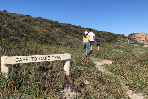 Cape To Cape Track Hike And Winery Tour - Holiday Sunshine Coast 4