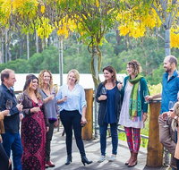 Half Day Gourmet Wine Tour - Sunshine Coast Tourism