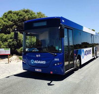 Rottnest Island Bayseeker Day Trip from Perth with Transfer - Sunshine Coast Tourism