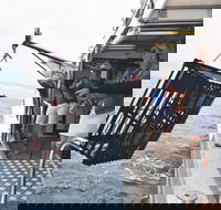 Rottnest Island Wild Seafood Package from Perth with Transfer - Sunshine Coast Tourism