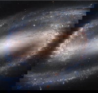 Dusk to Dawn Astronomy Experience at Bullara Station Stay - Sunshine Coast Tourism