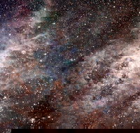 Overnight Astronomy Experience Ningaloo - Yardie Homestead - Sunshine Coast Tourism