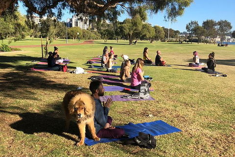 Yoga In The Park - Sunshine Coast Tourism 6