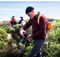 Guided Walks on the Cape to Cape - Redgate Beach to Boranup Forest - Sunshine Coast Tourism