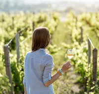 5 Hours Wineries Coffee Tasting Forest  Lunch at the Berry Farm - Sunshine Coast Tourism