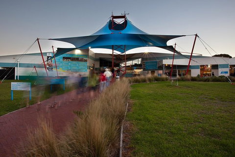 Express Expedition To Phillip Island Penguin Wildlife Encounter Evening Tour - Holiday Sunshine Coast 1