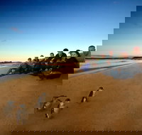 Phillip Island Ultimate Penguin Eco Tour or Skybox Experience - Sunshine Coast Tourism