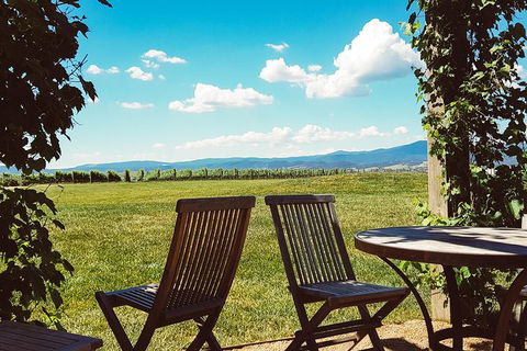 Alternative Yarra Valley Wine Tasting Tour Departing From Melbourne - Sunshine Coast Tourism 11