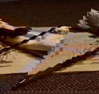 Alchemy I - The Final Run - Sunshine Coast Tourism