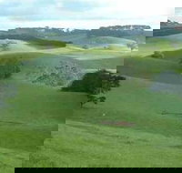 Day Tour of Phillip Island  Surrounding Region - Sunshine Coast Tourism