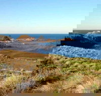 Phillip Island Walking  Bird Watching Tour - Sunshine Coast Tourism