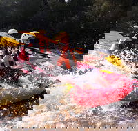 Whitewater Sports rafting on the Yarra river - Sunshine Coast Tourism