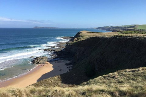 George Bass Coastal Walk - Sunshine Coast Tourism 1