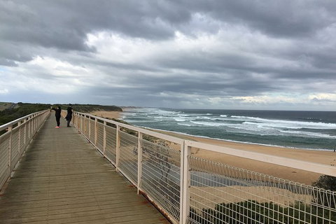 George Bass Coastal Walk - Sunshine Coast Tourism 6