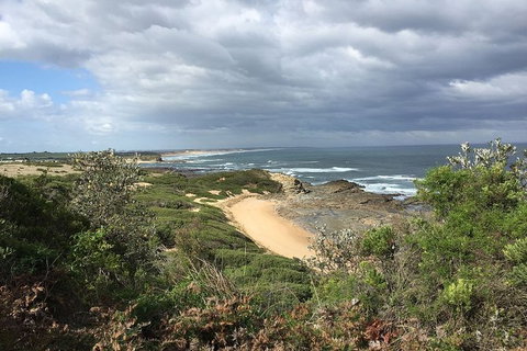 George Bass Coastal Walk - Sunshine Coast Tourism 7