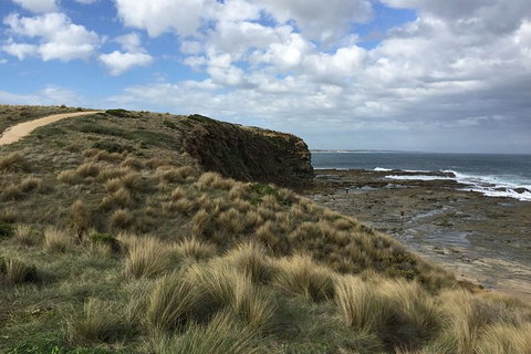 George Bass Coastal Walk - Sunshine Coast Tourism 8