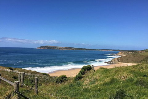 George Bass Coastal Walk - Sunshine Coast Tourism 5
