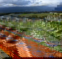 Yarra Valley Local Produce and Wine Tasting Tour - Sunshine Coast Tourism