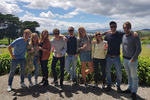 Yarra Valley - Sunshine Coast Tourism 1