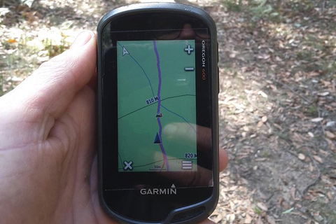 GPS Guided Walks In The Daylesford Forest - Holiday Sunshine Coast 0