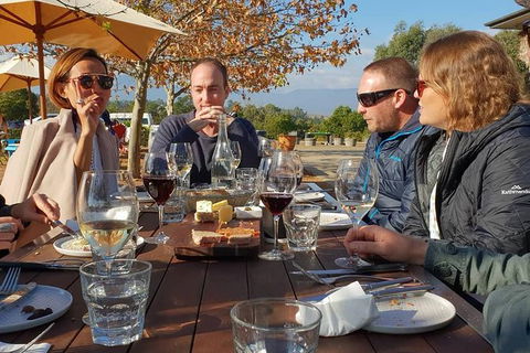 An Amazing Day With Felix - Premium Yarra Valley Wine Tour - Sunshine Coast Tourism 0
