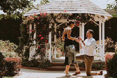 Photoshoot In Stunning Locations! (sydney) - Holiday Sunshine Coast 4