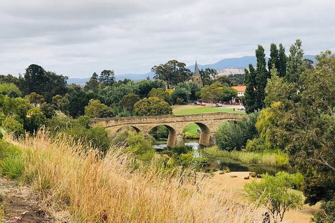 Day Tour In Mt. Field, Mt. Wellington, Bonorong Wildlife Sanctuary And Richmond - Sunshine Coast Tourism 6