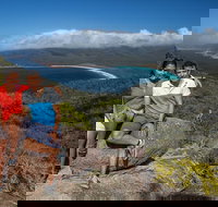 Full-Day Tour One-Way from Launceston to Hobart with Freycinet National Park - Sunshine Coast Tourism