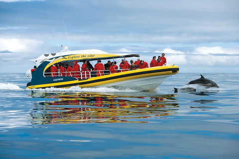 3-Hour Tasman Peninsula Wilderness Cruise From Port Arthur - Sunshine Coast Tourism 5