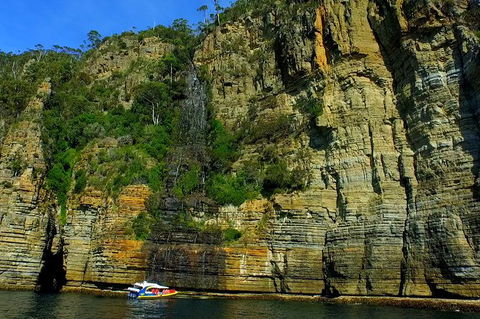 3-Hour Tasman Peninsula Wilderness Cruise From Port Arthur - Sunshine Coast Tourism 7