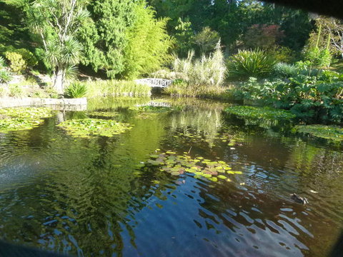 Hobart Half-Day Sightseeing Coach Tram Tour - Holiday Sunshine Coast 14