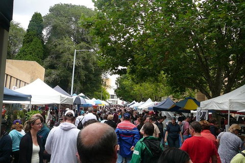 Hobart Half-Day Sightseeing Coach Tram Tour - Holiday Sunshine Coast 18