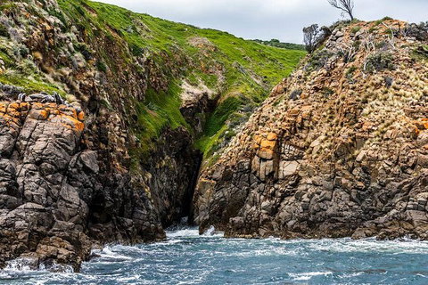 Hobart Sightseeing Cruise Including Iron Pot Lighthouse - Holiday Sunshine Coast 3