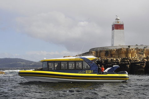 Hobart Sightseeing Cruise Including Iron Pot Lighthouse - Holiday Sunshine Coast 7