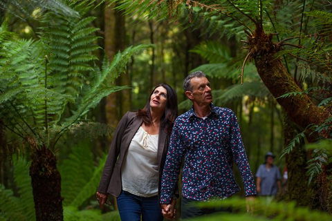 West Coast Wilderness Railway: River And Rainforest From Strahan - Sunshine Coast Tourism 3