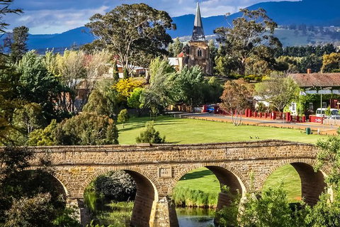 Shore Excursion-Hobart Wanderer - Holiday Sunshine Coast 0