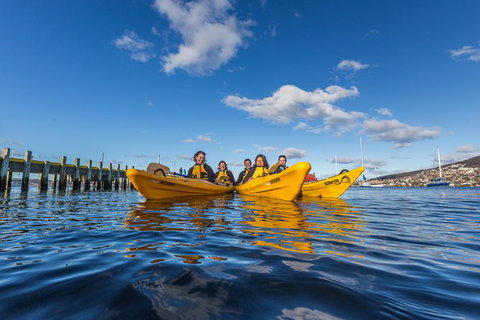 Hobart Kayak Tour - Holiday Sunshine Coast 7