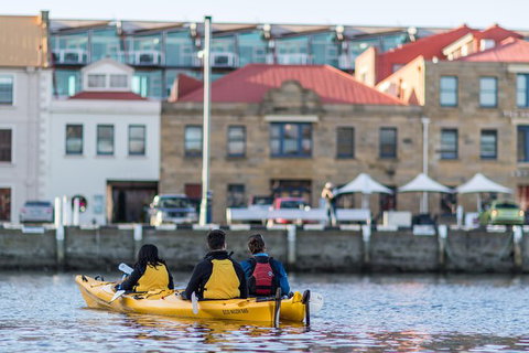 Hobart Kayak Tour - Holiday Sunshine Coast 6