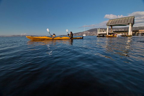 Hobart Kayak Tour - Holiday Sunshine Coast 4