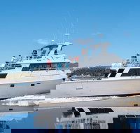 Derwent River Private Harbour Cruise on the 'Odalisque' from Hobart - Holiday Sunshine Coast