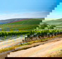 Full Day Tamar Valley Wine Tour - Sunshine Coast Tourism