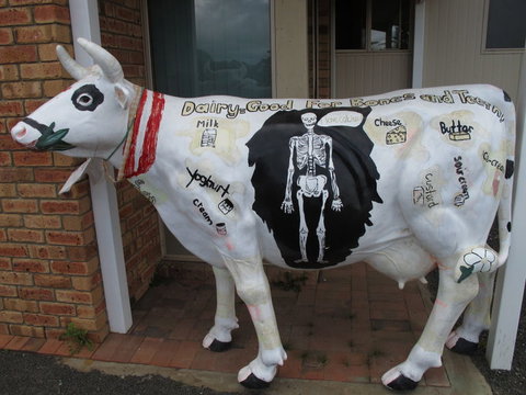 Cradle Mountain National Park Day Tour From Launceston - Holiday Sunshine Coast 15