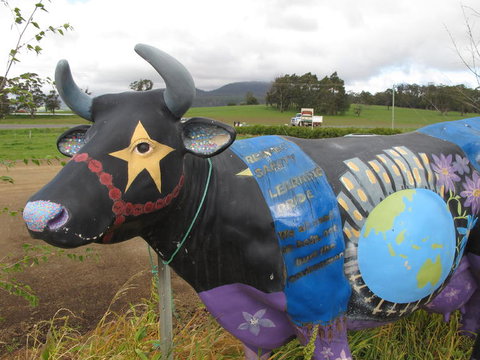 Cradle Mountain National Park Day Tour From Launceston - Holiday Sunshine Coast 18