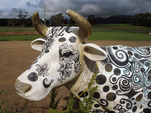 Cradle Mountain National Park Day Tour From Launceston - Holiday Sunshine Coast 19