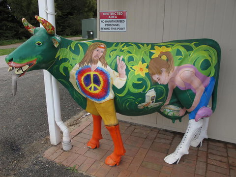 Cradle Mountain National Park Day Tour From Launceston - Holiday Sunshine Coast 4