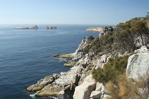 Great Walks Of Australia: 4-Day Freycinet Experience Walk - Sunshine Coast Tourism 10